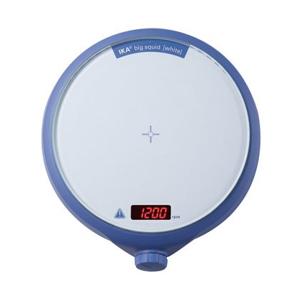 IKA big squid white