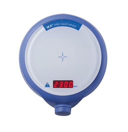 IKA color squid white