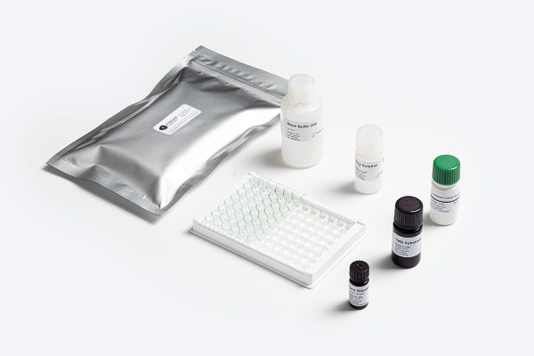 Prognosis Biotech 1-Standard Fumonisin - Fumonisin in Grains, Cereals and Animal Feed Test Kit - Acorn Scientific