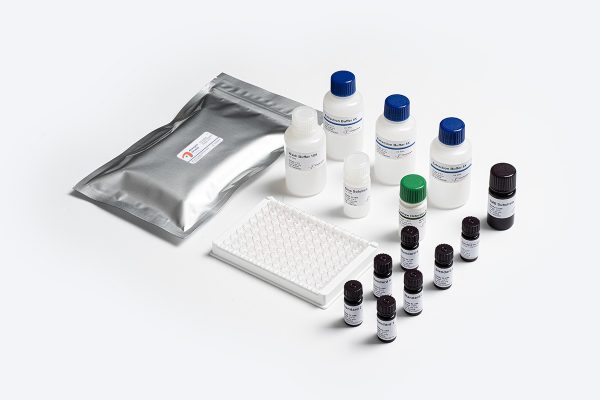 Prognosis Biotech Allergen-Shield Cashew - Cashew residues in food products labeled as cashew-free ELISA Test Kit - Acorn Scientific