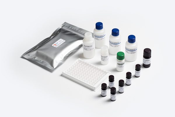 Prognosis Biotech Allergen-Shield Egg - Egg residues in food products labeled as egg-free ELISA Test Kit - Acorn Scientific