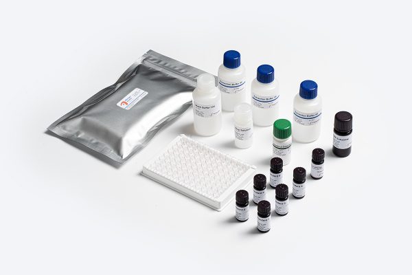 Prognosis Biotech Allergen-Shield Hazelnut - Hazelnut residues in food products labeled as hazelnut-free ELISA Test Kit - Acorn Scientific