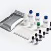 Prognosis Biotech Allergen-Shield Lupin - Lupin residues in food products labeled as lupin-free ELISA Test Kit - Acorn Scientific