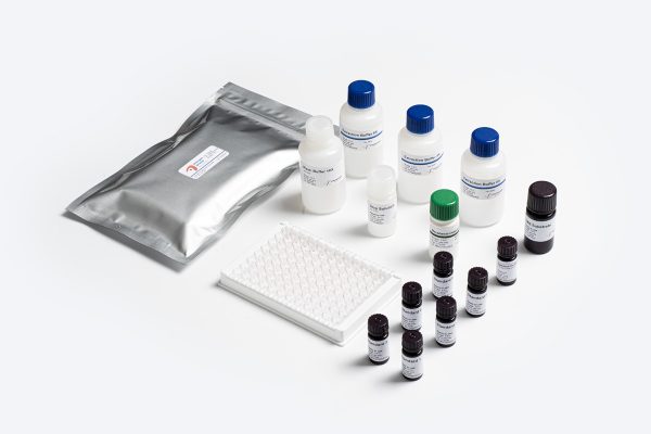 Prognosis Biotech Allergen-Shield Macadamia - Macadamia residues in food products labeled as macadamia-free ELISA Test Kit - Acorn Scientific