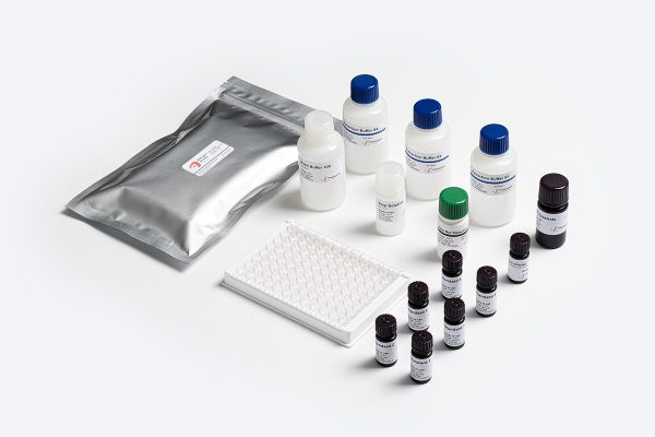 Prognosis Biotech Allergen-Shield Pine Nut - Pine Nut residues in food products labeled as Pine Nut-free ELISA Test Kit - Acorn Scientific