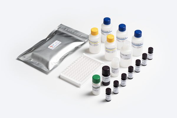 Prognosis Biotech Allergen-Shield Sesame - Sesame residues in food products labeled as sesame-free ELISA Test Kit - Acorn Scientific