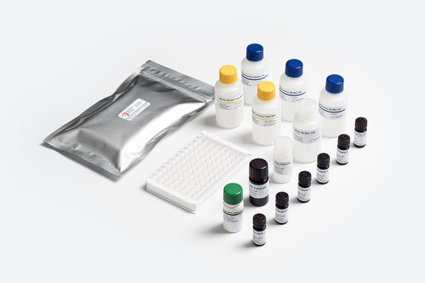 Prognosis Biotech Allergen-Shield Total Milk - Milk protein residues in food products labeled as milk-free ELISA Test Kit - Acorn Scientific