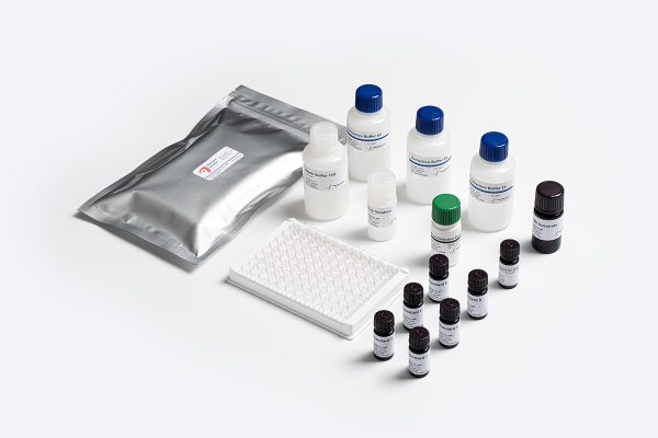 Prognosis Biotech Allergen-Shield Walnut - Walnut residues in food products labeled as walnut -free ELISA Test Kit - Acorn Scientific