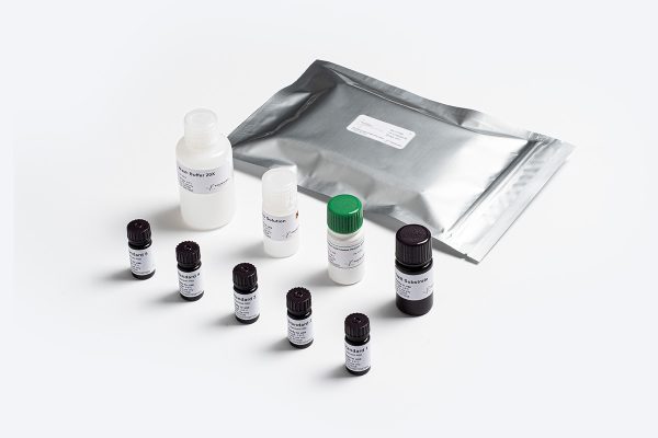Prognosis Biotech Bio-Shield Adulteration Cow Cheese - Cow’s milk in mature soft cheese (like Feta) ELISA Test Kit - Acorn Scientific