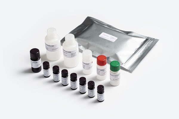 Prognosis Biotech Bio-Shield Aflatoxin M1 Extra Sensitive (ES) - Aflatoxin M1 in milk, milk powder, cheese, butter and yogurt Test Kit - Acorn Scientific