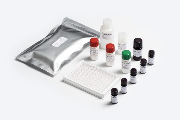 Prognosis Biotech Bio-Shield Aflatoxin B1 Extra Sensitive (ES) -  Aflatoxin B1 (AFB1) in Grains, Nuts, Cereals, Spices and Animal Feed Test Kit - Acorn Scientific