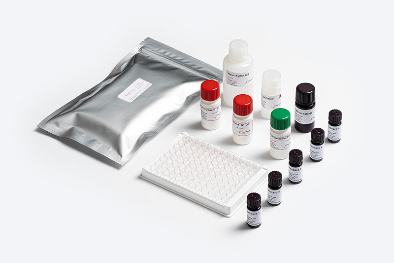 Prognosis Biotech Bio-Shield Aflatoxin B1 Optimum Performance (OP) -  Aflatoxin B1 (AFB1) in Grains, Cereals, Spices, Oil, Animal Feed and Baby Food Ingredients Test Kit - Acorn Scientific