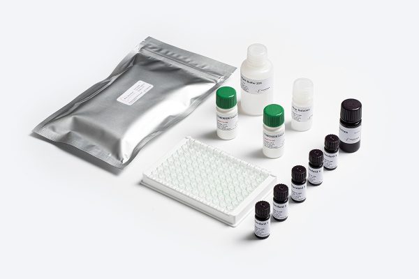 Prognosis Biotech Bio-Shield Fumonisin - Fumonisins in grains, cereals and animal feed Test Kit - Acorn Scientific