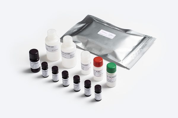 Prognosis Biotech BIO-SHIELD M1 50M - Aflatoxin M1 in milk, milk powder, cheese and yogurt ELISA Test Kit - Acorn Scientific