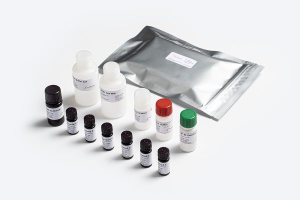 Prognosis Biotech Bio-Shield Aflatoxin M1 Baby Food (BF) - Aflatoxin M1 in baby food (milk and milk products) Test Kit - Acorn Scientific