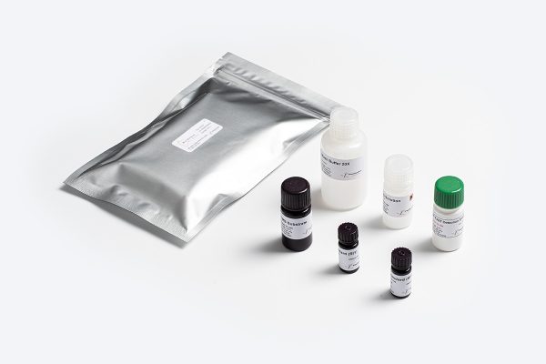 Prognosis Biotech Bio-Shield Aflatoxin M1 Fast - Aflatoxin M1 in raw and homogenized milk and milk powder without sample preparation Test Kit - Acorn Scientific