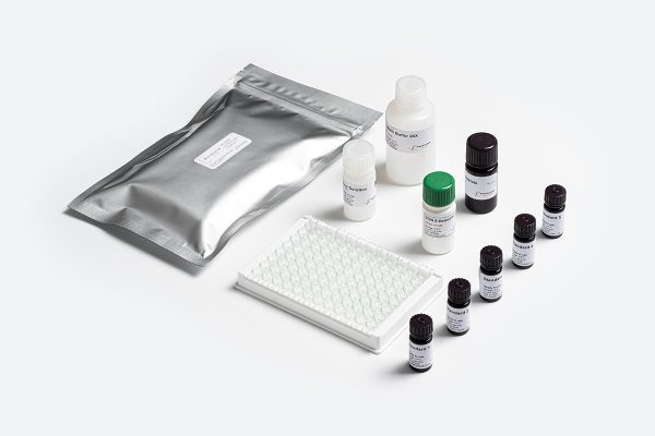 Prognosis Biotech Bio-Shield Zearalenone (ZON) 5 - Zearalanone in Grains, Cereals and Animal Feed Test Kit - Acorn Scientific
