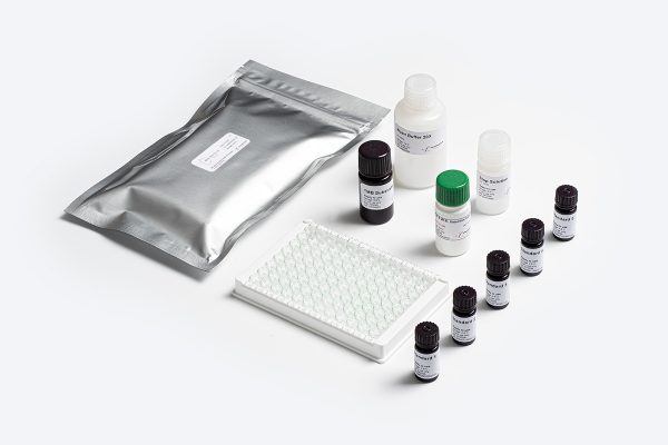 Prognosis Biotech Don 5 Water Extraction -  Deoxynivalenol (DON) in grains, cereals and animal feed ELISA Test Kit - Acorn Scientific
