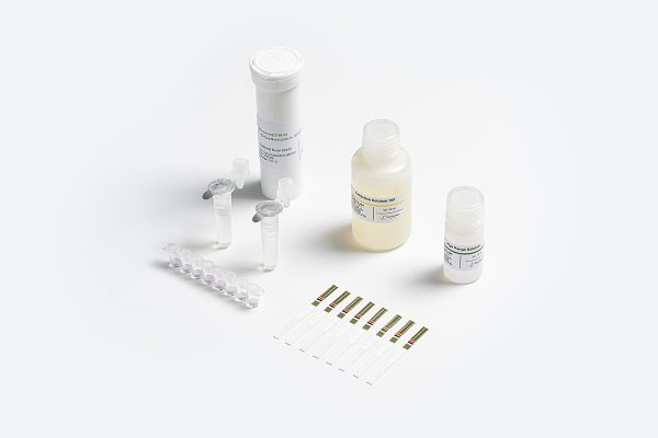 Prognosis Biotech Symmetric Ochratoxin Coffee - Ochratoxin A (OTA) in coffee LFD Test Kit - Acorn Scientific