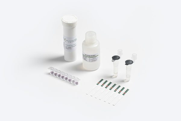 Prognosis Biotech Symmetric T-2/HT-2 Extra Sensitive (ES) - T-2 & HT-2 in grains, cereals, and animal feed LFD Test Kit - Acorn Scientific
