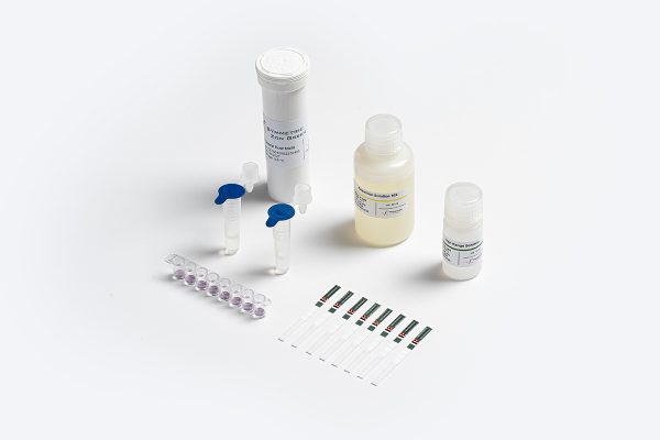 Prognosis Biotech Symmetric Zearalenone (ZON) Green - Zearalenone in Grains and Cereals Test Kit - Acorn Scientific