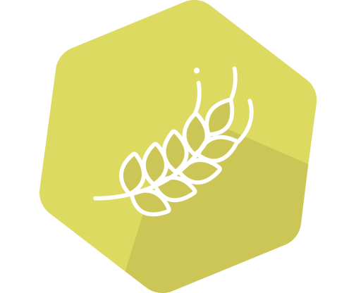 Gold Standard Diagnostics SENSISpec INgezim Hydrolyzed Gluten - Acorn Scientific